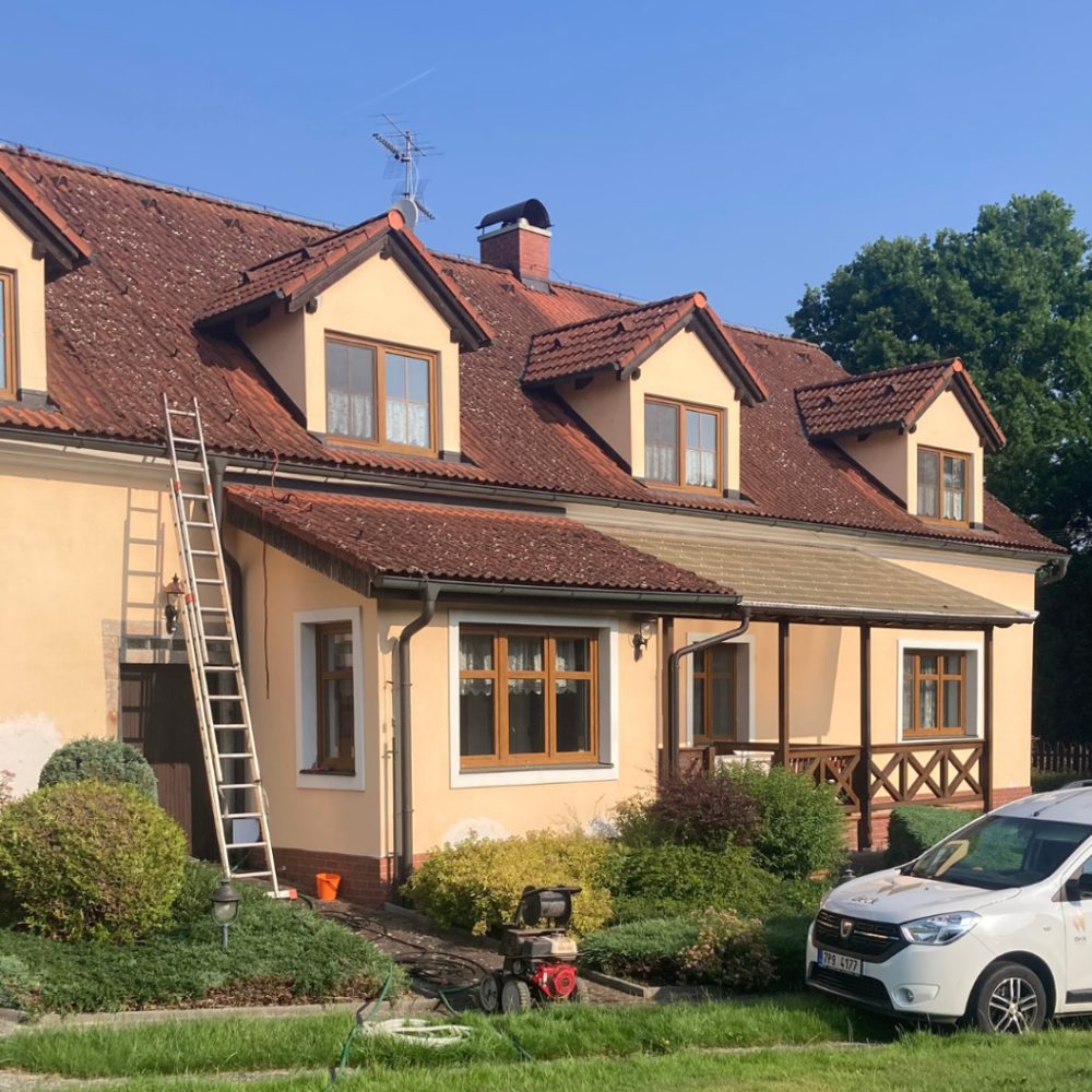 Realizace Dachvital, parta v terénu